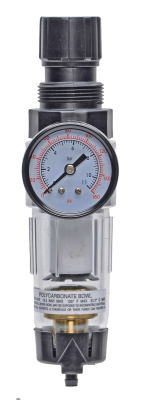 CFDR56M Miniature Integral Filter and Regulator 1/4