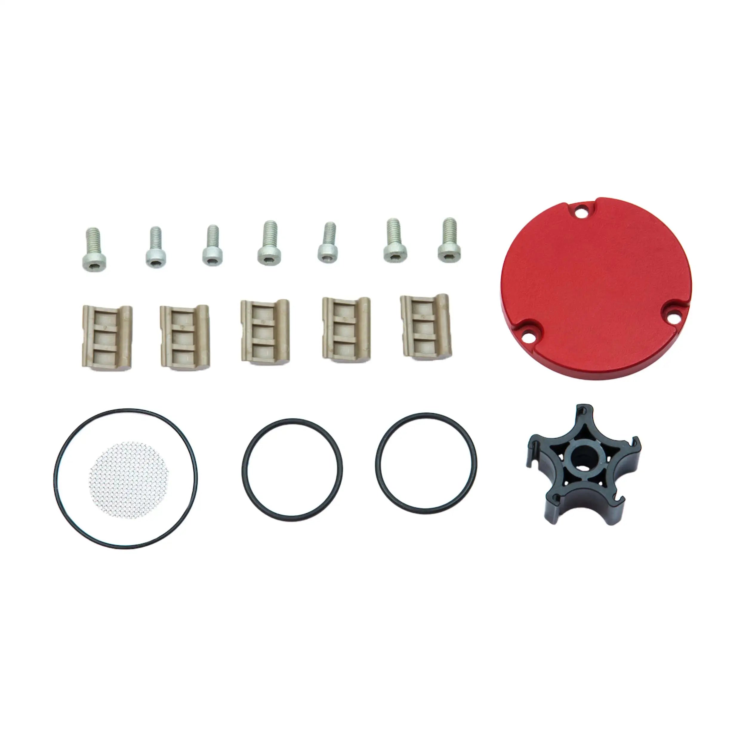 Fill-Rite Kit de reconstrucción KIT1212RG para bombas de transferencia de combustible serie RD12