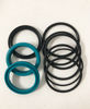 Picture of SAMSON 735962 BODY SEAL KIT PM2 1:1